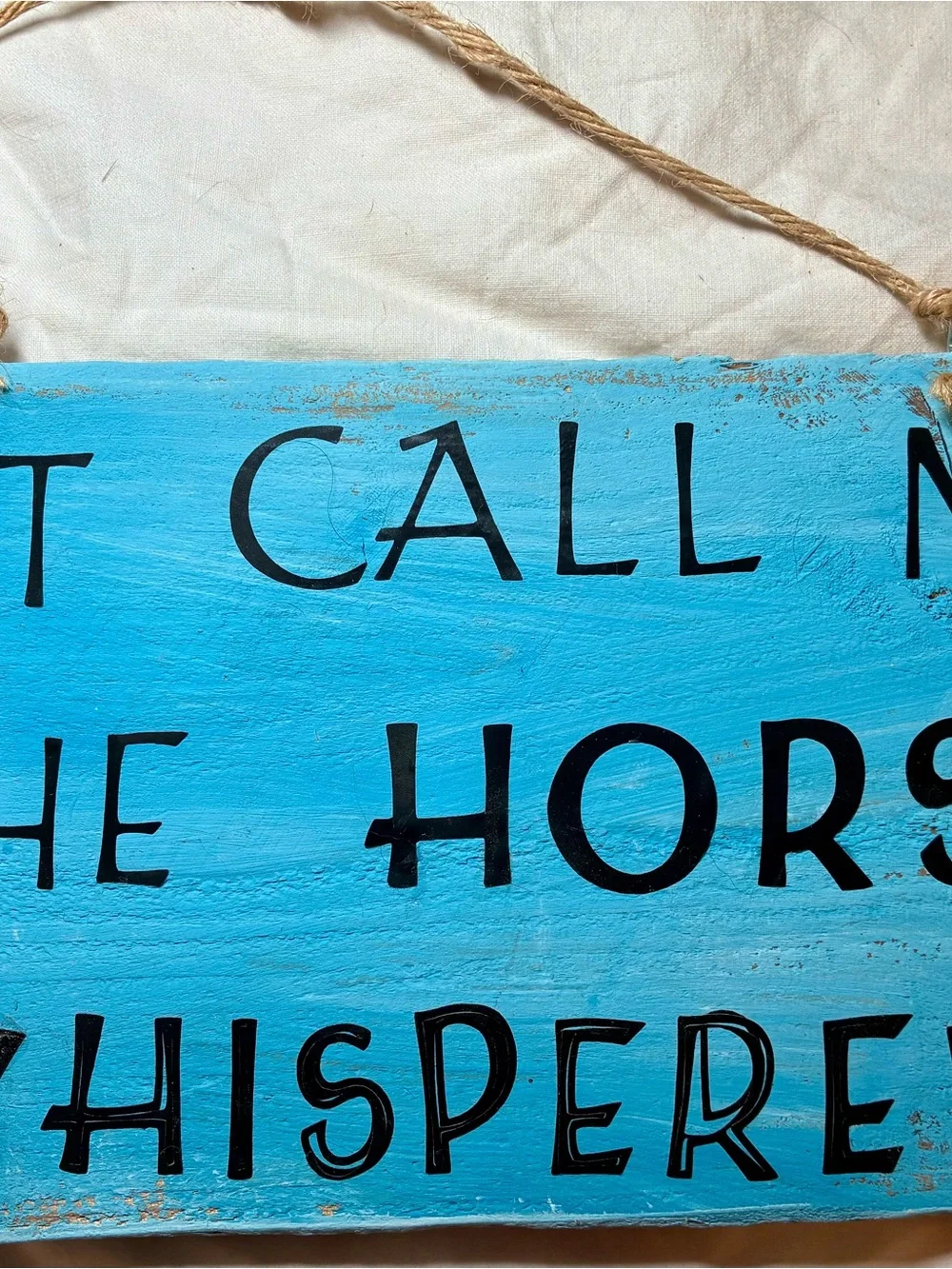 Turquoise Blue Rustic Wood Wall Sign - Just Call me the Horse Whisperer-handmade